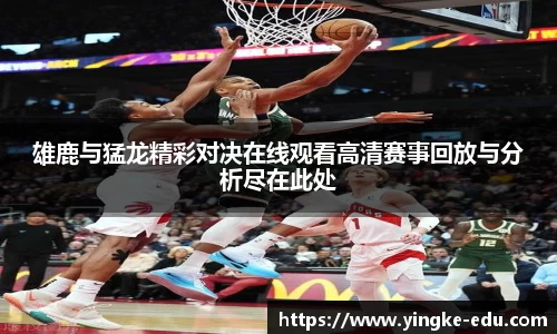 雄鹿与猛龙精彩对决在线观看高清赛事回放与分析尽在此处